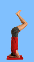 yoga münchen kopfstand phase 3